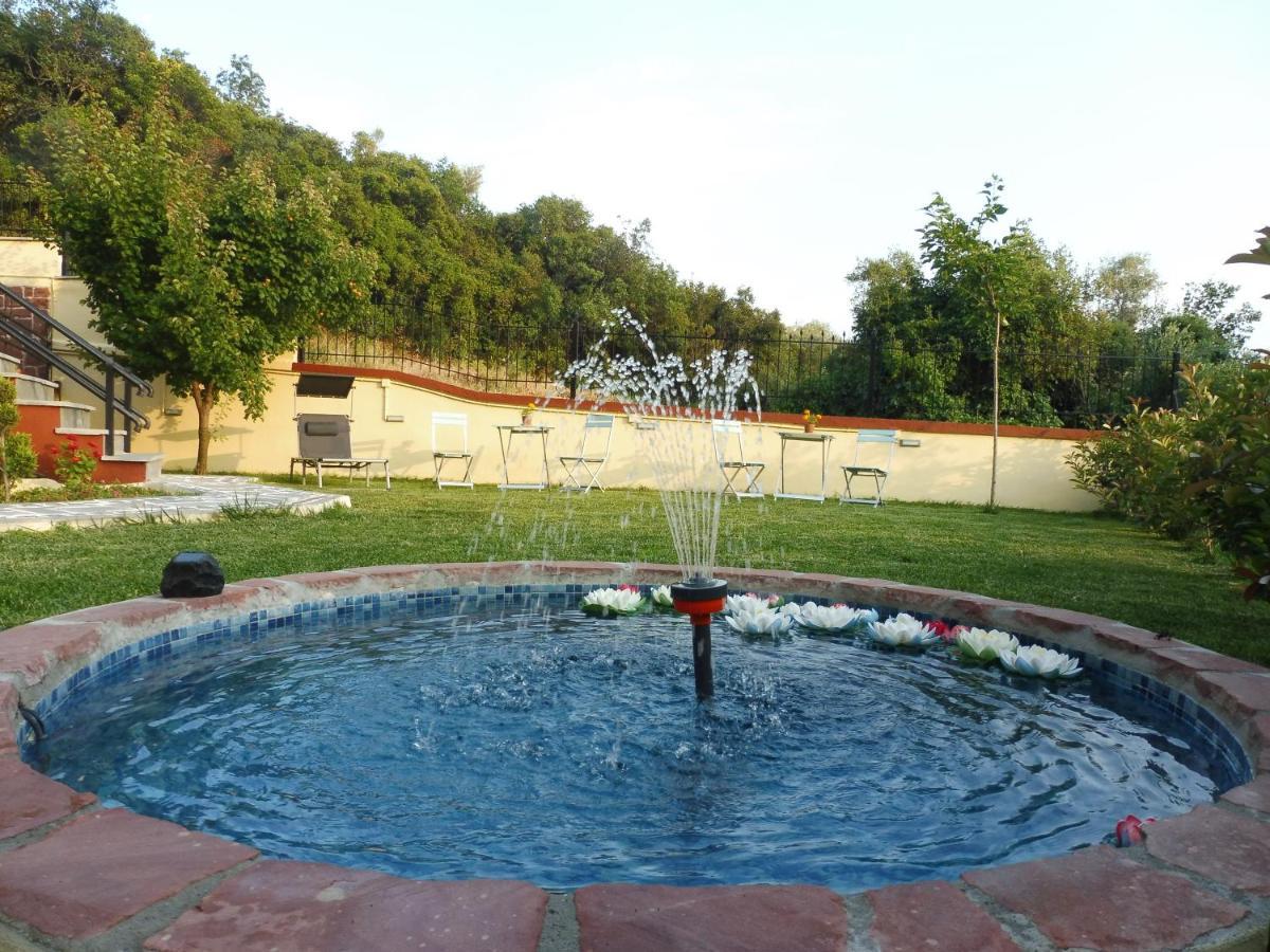 Helianthos Villa - Apartment No4 PalaiónTsiflíkion Esterno foto